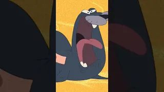 Zig & Sharko - Hammerhead cousin (S01E32) P1 #zigandsharko #cartoon #trend #shorts