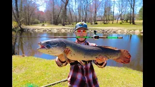MONSTER Bowfin Caught (Early Spring Fishing Tips)