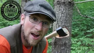 5 STAR $30 Amazon Axe vs $150 Gransfors Buks Axe