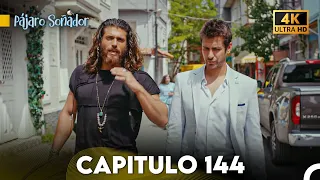 Pájaro Soñador Capítulo 144 (Doblado En Español 4K)