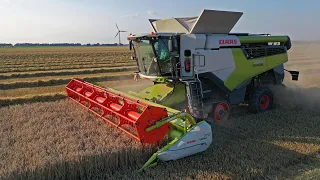 New Claas Lexion 6800 Terra Trac | Harvest 2021 | Pure sound