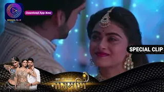 Paro - Shankar Shadi Special | Ishq Ki Dastaan Naagmani | Special Romantic Clip | Dangal TV