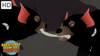 Animais noturnos [episódios completos] Aventuras com os Kratts