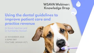 Webinar: Using the dental guidelines to improve patient care and practice revenue