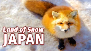 Why Japan is the Snow Capital of the World