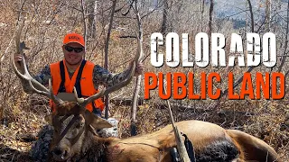 Public Land Elk Hunt in Colorado | Aaron Gould