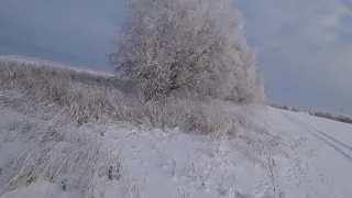 Охота на зайца в морозный день.
