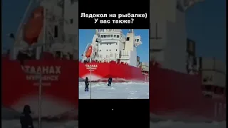 Всю рыбу разогнал сука ледокол ..