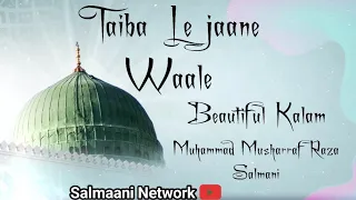 Taiba Ke jaane Waale | Best Naat 2024 | Salmaani Network | Owais Raza Qadri | #naat #trending