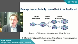 Вадим Гладышев. Почему мы стареем? Механизмы старения и долголетия