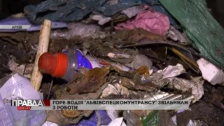 Історія горе-водія сміттєвоза, який незаконно скинув відходи  на Рясне.