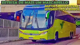 Outra Novidade na PássaroVerde!! Movimento de Ônibus ao Amanhecer , Rodoviária de BH