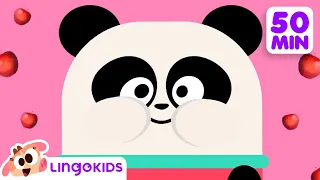 ACTION SONGS FOR KIDS 🙌🎶| Nursery Rhymes | Lingokids