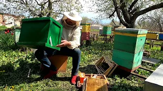 Як зловити бджолиний рій на 100 %  Укомплектовка бджолиної ловушки від А до Я