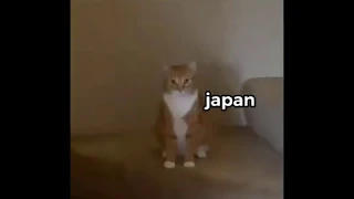 hetalia as cat videos