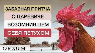 Эта смешная Еврейская притча точно вас развеселит! Притча о Царевиче, который считал себя Петухом