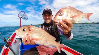 Four casts, three fish | Snapper soft bait fishing in Auckland