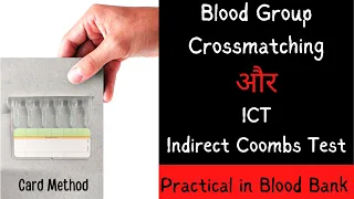 Blood Group Crossmatching | ICT (Indirect coombs Test) | Practical | Blood Bank