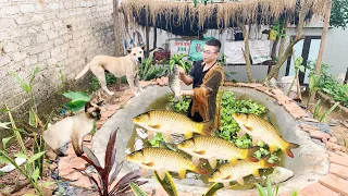 Catching carp | fish meat cooked with pickled vegetables | processing | cooking | Minh Tuyen Farm