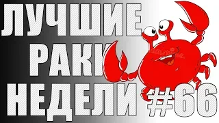 ЛРН выпуск №66. САМЫЙ РАКООБРАЗНЫЙ КОЛОБАНОВ [Лучшие Раки Недели]