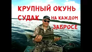 Крупный окунь и судак на джиг МЕГАРЫБАЛКА