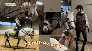 ПЕРВАЯ конная тренировка//equestrian vlog|конный спорт 🐎🤍#equestrian #перваятренировка #конныйвлог