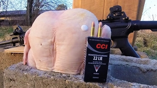 CCI Segmented Subsonic HP vs CHICKEN Ammo Test Meat Review 22 LR 10/22 - 715T