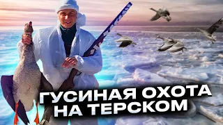 Удачная гусиная охота на Терском берегу. Весенняя охота на Белом море