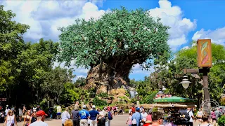 Disney's Animal Kingdom 2022 Walkthrough Experience w/ Rides in 4K | Walt Disney World Florida