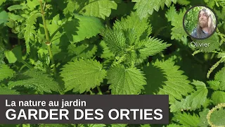 La nature au jardin : pourquoi garder des orties dans son jardin