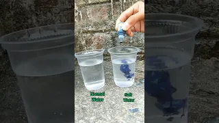 Simple science experiment | Normal water vs salt water | #shorts #short #experiment