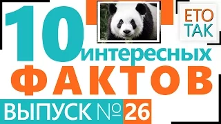 Интересные факты о РЫБЕ ДАЛИИ, ПТИЦАХ, ЛЯГУШКЕ КОКОИ, ДЕРЕВЬЯХ, СОРОКОНОЖКАХ...– Это Так