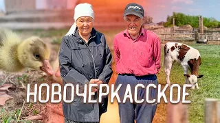 Новочеркасское. Перезагрузка для головы #казахстан #жизнь