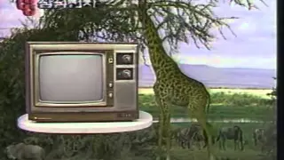 Samsung Econo TV 1970s~1980s commercial (korea)