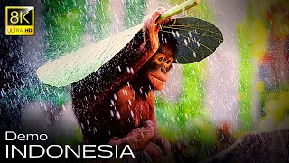 Indonesia in 8K Ultra HD • Realistic Film | Wolrd Travel (FUHD)