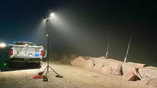 We had to set up lights to film these massive monsters