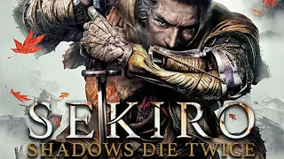 Sekiro Shadows Die Twice ,Full hd, High ,Ryzen 5 2600, Rx 580 8gb ,16gb ram