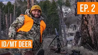 SHOOT or PASS? Close action! | Western Deer Hunt (EP. 2)