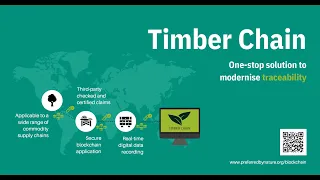 Webinar - Secure your supply chains and empower your clients with Timber Chain (30 June 2021)