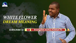 White Flowers Dream Meaning - Spiritual and Biblical Interpretation