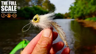 Fly Fishing For Murray Cod | The Full Scale