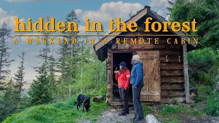 A weekend in a tiny cabin hidden in the forest: slow living in wild places | Silent hiking