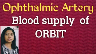 Blood supply of Orbit/ Ophthalmic artery// Arterial supply of orbit// Ophthalmology/MBBS/ Optometry