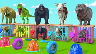 Cow Mammoth Dinosaur Elephant Gorilla Guess The Right Key ESCAPE ROOM CHALLENGE Animals Cage Game #3