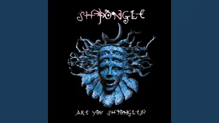 Shpongle Falls (2017 Remaster)