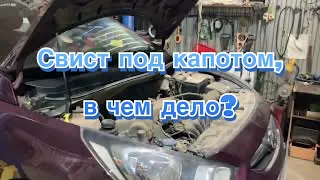 Свист под капотом, в чем дело? Ответ в ролике!