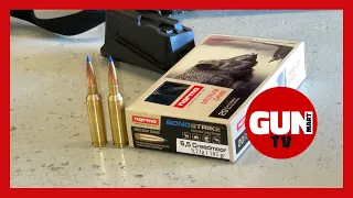 AMMO TEST: Norma BONDSTRIKE 143-grain 6.5 Creedmoor