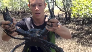 BACON OF THE SEA - Mud Crabs caught BAREHANDED - Catch n Cook | TDB