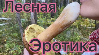 Лесная Эротика