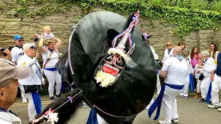 Padstow May Day 2022 and the Blue Ribbon Obby Oss